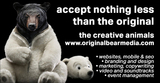 Original Bear Media Limited, whitstable
