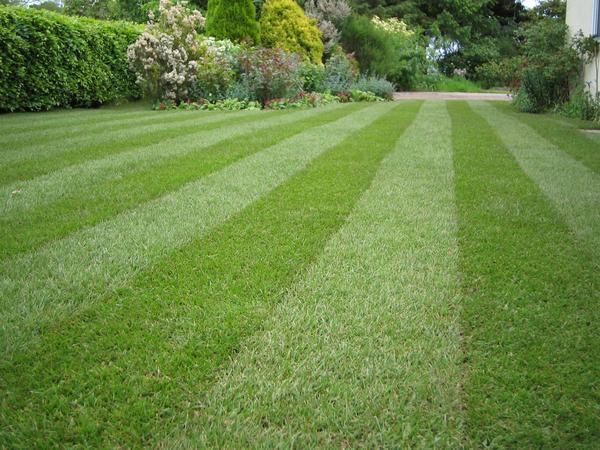  Pricelists of Best landscapers in Pretoria Arcadia 0007, 0083 â€“ PRETORIA - Photo 2 of 4