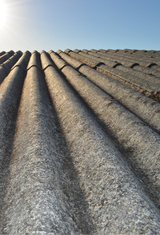 Absolute Asbestos Solutions Ltd, Colchester