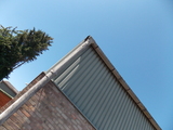           , Absolute Asbestos Solutions Ltd, Colchester