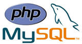 Lemosys Infotech-Custom Website Development and Designing Company, Indore