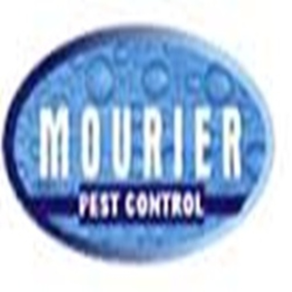  Profile Photos of Mourier Pest Control A-13,First Floor, 2nd Portion, Ganesh Nagar Complex, Pandav Nagar - Photo 1 of 1