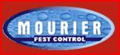  Mourier Pest Control Services In Delhi NCR of Mourier Pest Control A-13,First Floor, 2nd Portion, Ganesh Nagar Complex, Pandav Nagar - Photo 4 of 8