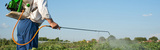 Mourier Pest Control, Delhi