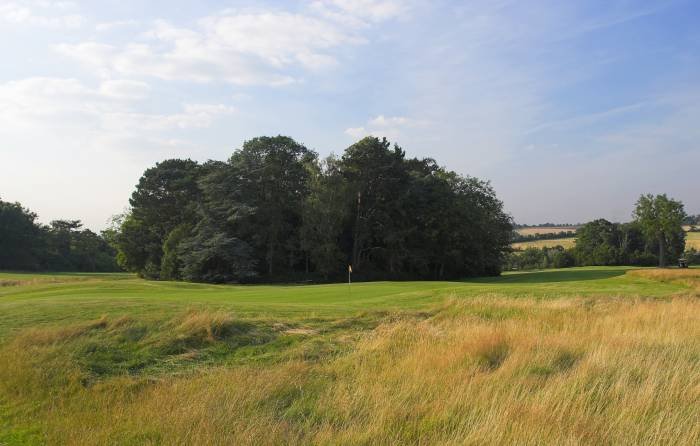  Profile Photos of Aldwickbury Park Golf Club Piggottshill Lane - Photo 3 of 4