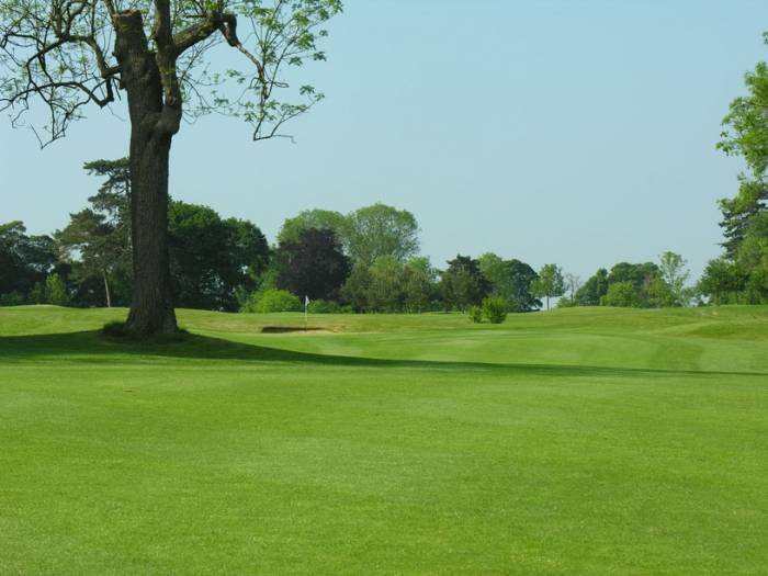  Profile Photos of Aldwickbury Park Golf Club Piggottshill Lane - Photo 4 of 4