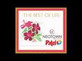 Mascot Patel Neotown, Noida