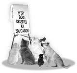 TAKE A PAWS MOBILE DOG TRAINING, Bentleigh