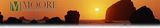 Moore Financial Services Group, LLC, Houston