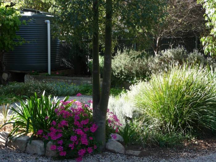 Private back yard & garden Country bakehouse 2013New Album of Country bakehouse Accommodation Main Street - Photo 5 of 8