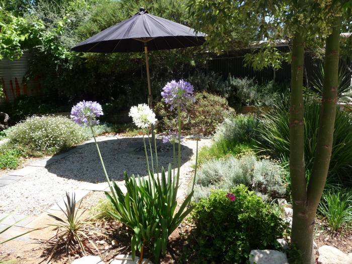 Own private enclosed garden. Profile Photos of Country bakehouse Accommodation Main Street - Photo 9 of 11