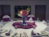 Passover inthe Blue Mountains Australia, Leura