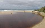 King Island Holiday Accommodation, Naracoopa