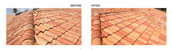  Pricelists of No Pressure Roof Cleaning 14768 64th Ct N - Photo 1 of 1