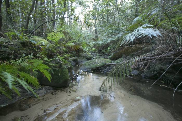  Profile Photos of Australian Photography Tours 26 Nardango Road - Photo 2 of 16