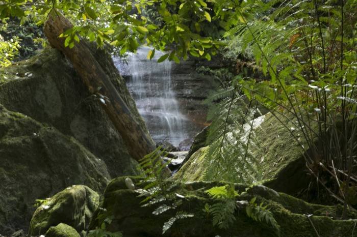  Profile Photos of Australian Photography Tours 26 Nardango Road - Photo 5 of 16