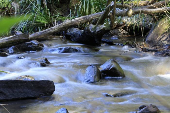  Profile Photos of Australian Photography Tours 26 Nardango Road - Photo 8 of 16
