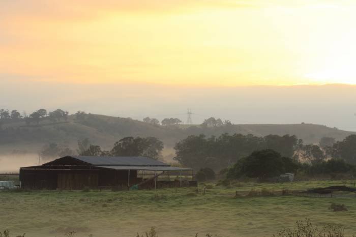  Profile Photos of Australian Photography Tours 26 Nardango Road - Photo 15 of 16