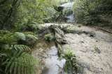  Australian Photography Tours 26 Nardango Road 