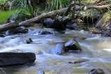  Australian Photography Tours 26 Nardango Road 