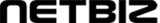 Netbiz Systems Pvt Ltd, Navi Mumbai