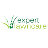 Expert Lawn Care, East Grinstead