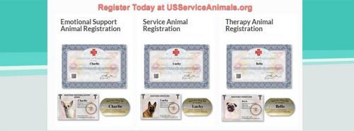  Profile Photos of US Service Animals 204 Bent Tree Ct - Photo 2 of 4
