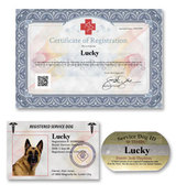 US Service Animals, Covington
