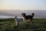  Bruny Island Accommodation Services 209 Simpsons Bay Rd 