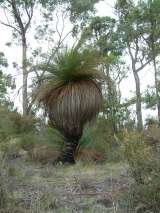  Bruny Island Accommodation Services 209 Simpsons Bay Rd 