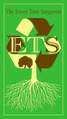  Profile Photos of The Essex Tree Surgeons Hardoaks, Mashbury Road,Chignall St James - Photo 1 of 1