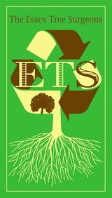 The Essex Tree Surgeons, Chelmsford