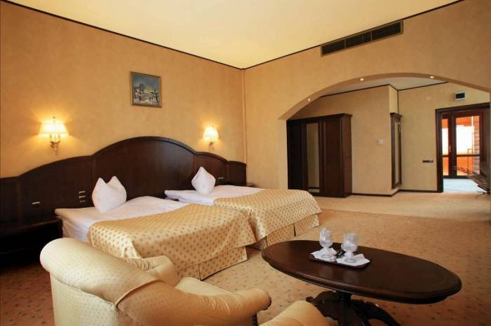  Profile Photos of President Hotel Gheorghe Doja, no. 231 - Photo 2 of 14