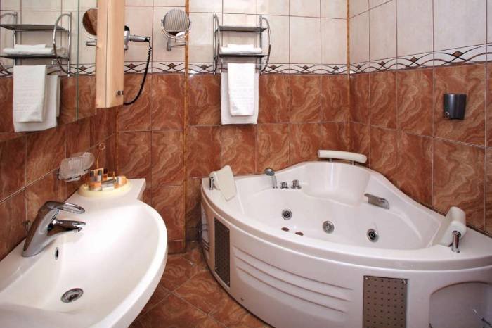  Profile Photos of President Hotel Gheorghe Doja, no. 231 - Photo 3 of 14