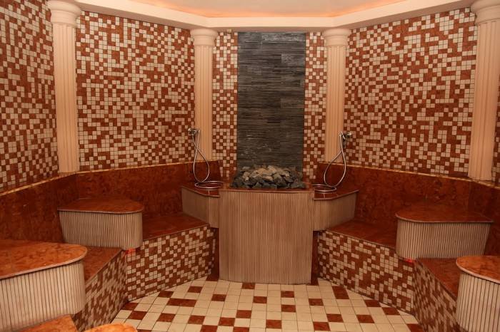  Profile Photos of President Hotel Gheorghe Doja, no. 231 - Photo 8 of 14