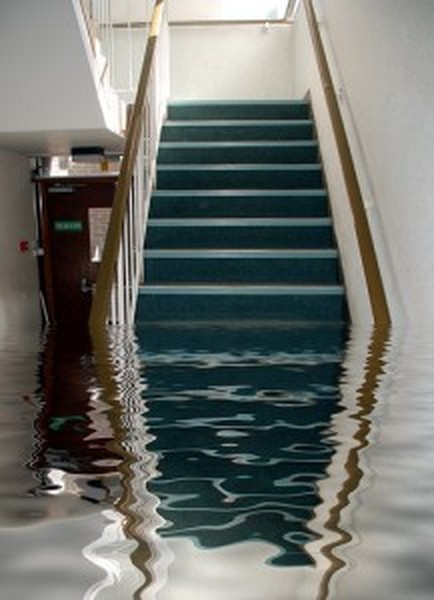  Profile Photos of Bonded Waterproofing Systems 65 Woodbine Street - Photo 3 of 8