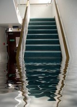  Bonded Waterproofing Systems 65 Woodbine Street 