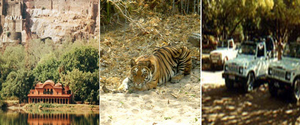  Profile Photos of Indian Adventures Wildlife and Adventure Resorts 257, S.V. Road, Bandra (W), Mumbai - 400050. India - Photo 6 of 7