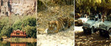 Indian Adventures Wildlife and Adventure Resorts, Mumbai