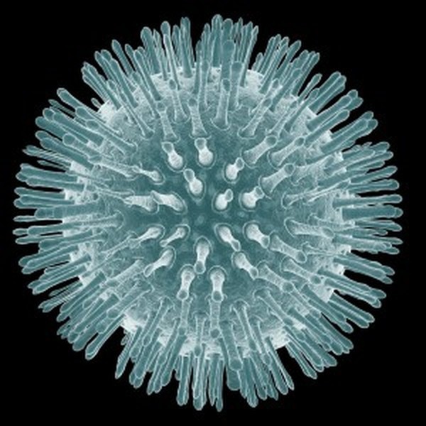 Virus cell - isolated on black background Pricelists of All County Waterproofing 121 North Michigan Ave #2 - Photo 1 of 1