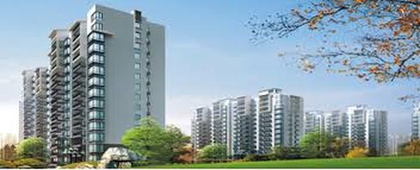  Profile Photos of Soho Misty Hights Sector- 01, Greater Noida (WEST) - Photo 3 of 4