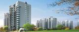 Soho Misty Hights, Noida