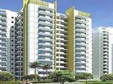 Soho Misty Hights, Noida