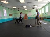  Happy Dogs Boarding and Training 1049 Chews Landing Rd 
