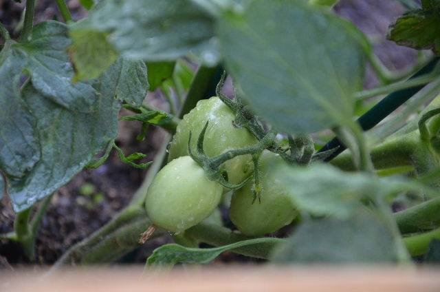  Profile Photos of Stillwaters Farm 375 Oak Grove Lane - Photo 17 of 23