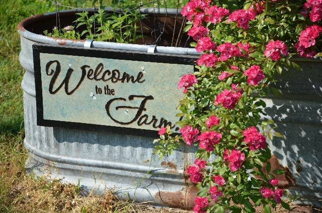  Profile Photos of Stillwaters Farm 375 Oak Grove Lane - Photo 1 of 23