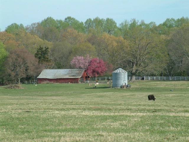  Profile Photos of Stillwaters Farm 375 Oak Grove Lane - Photo 3 of 23