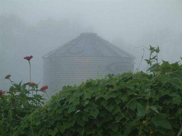  Profile Photos of Stillwaters Farm 375 Oak Grove Lane - Photo 2 of 23