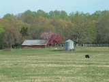 Stillwaters Farm, Henderson