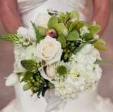 Aime Peterson Flowers and Event Design, Orange Park